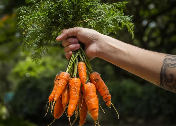 Pousada Recanto Das Rosas Bragança Paulista
